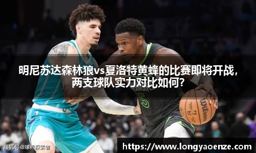 明尼苏达森林狼vs夏洛特黄蜂的比赛即将开战，两支球队实力对比如何？